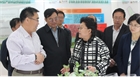 市委副書記、代市長艾麗華來我公司考察、調(diào)研