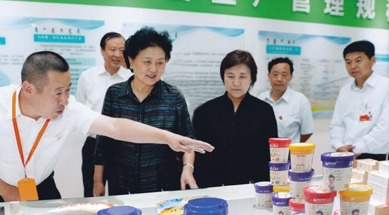 原中共中央政治局委員、國務(wù)院副總理劉延?xùn)|視察我公司