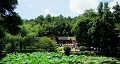 長(zhǎng)沙出發(fā)到花明樓、韶山、張家界國(guó)家森林公園、天門(mén)仙山國(guó)家森林公園四日游